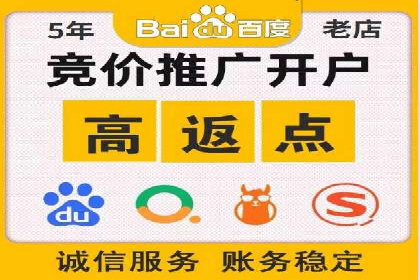 百度推广实战：成功案例解析